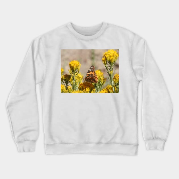 Butterfly, wildlife, insects, nature, gifts, Natures Grace Crewneck Sweatshirt by sandyo2ly